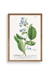 Stupell Ahşap Çerçeveli Tablo 23 x 30