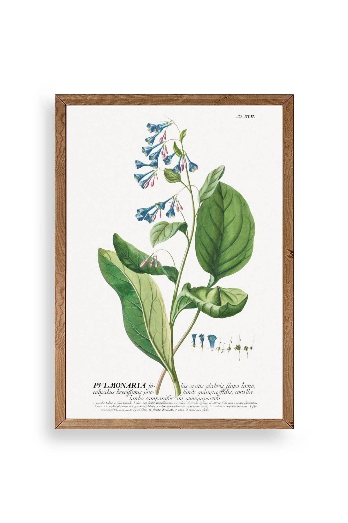 Stupell Ahşap Çerçeveli Tablo 30 x 42