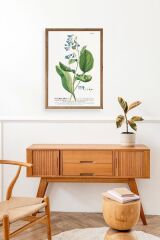 Stupell Ahşap Çerçeveli Tablo 30 x 42