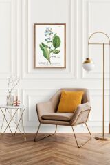 Stupell Ahşap Çerçeveli Tablo 50 x 70