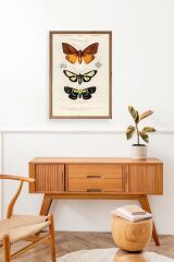 Kelebekler Ahşap Çerçeveli Tablo 23 x 30