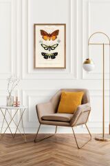Kelebekler Ahşap Çerçeveli Tablo 50 x 70