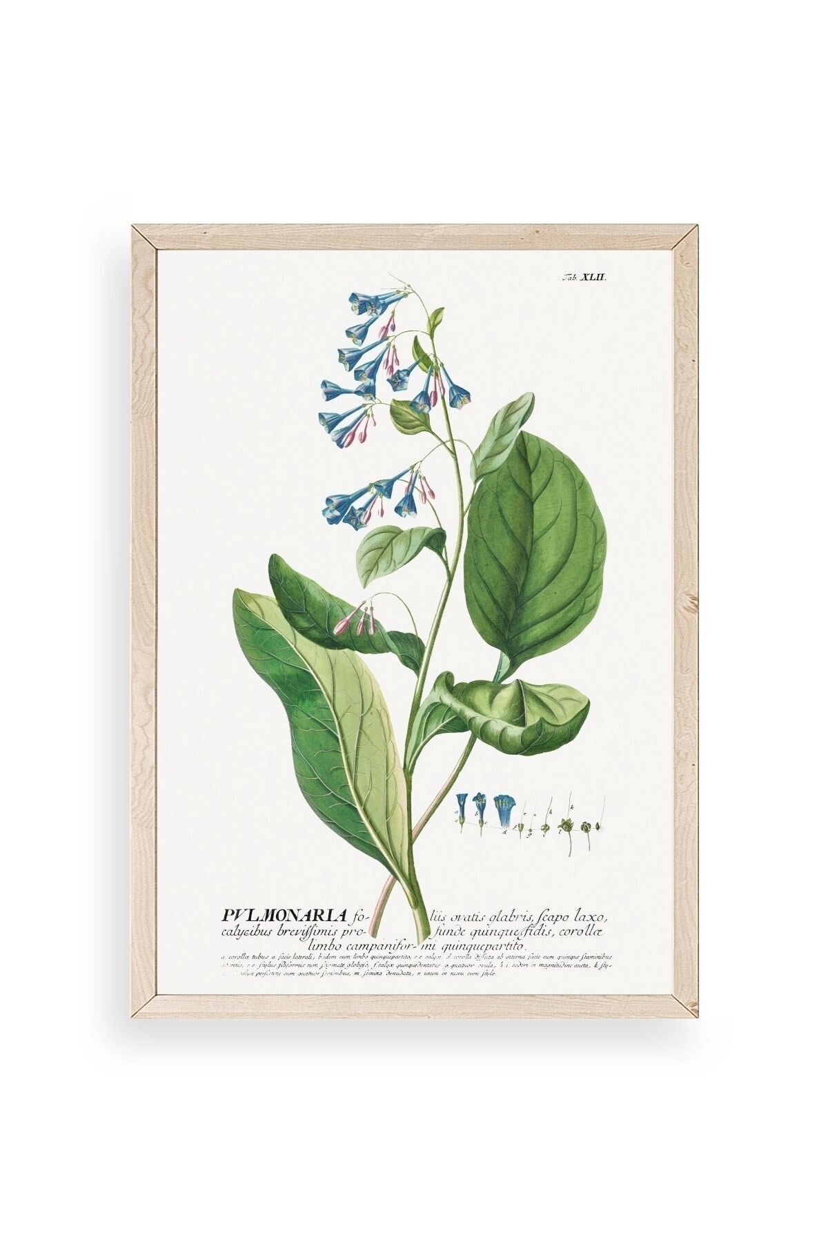 Stupell Ahşap Çerçeveli Tablo 17 x 23