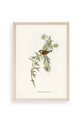 Daldaki Kuş Ahşap Çerçeveli Tablo 50 x 70