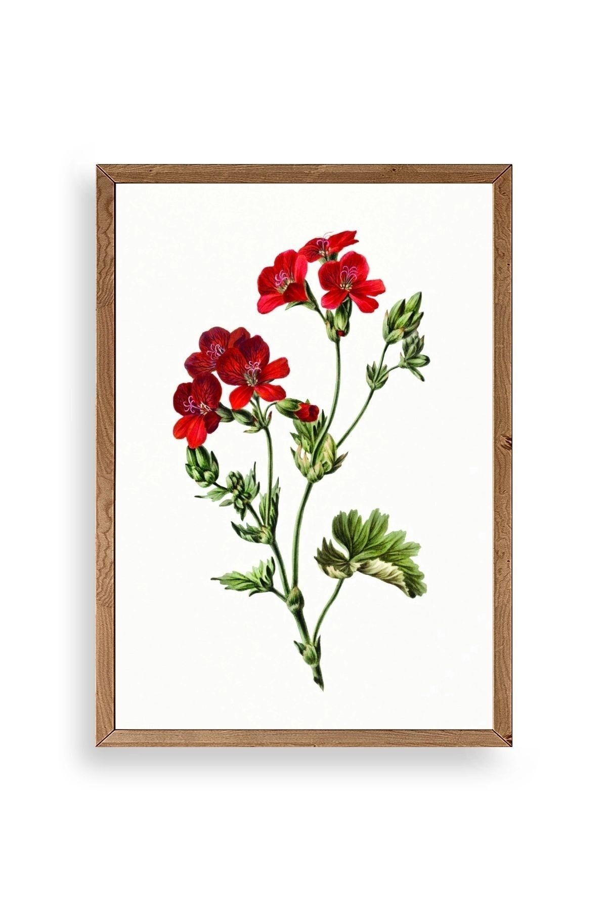 Çiçekler Ahşap Çerçeveli Tablo 17 x 23