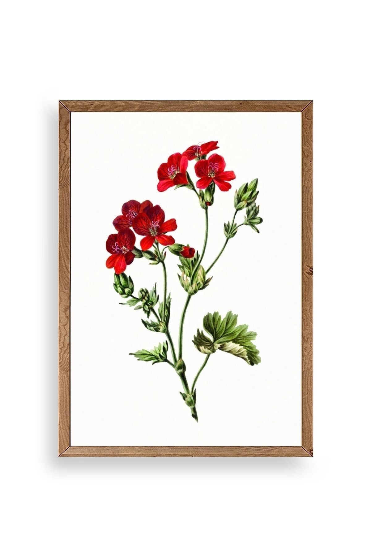 Çiçekler Ahşap Çerçeveli Tablo 23 x 30