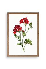 Çiçekler Ahşap Çerçeveli Tablo 30 x 42