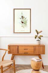 Kuşlar Ahşap Çerçeveli Tablo 30 x 42