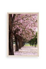 Manzara Ahşap Çerçeveli Tablo 30 x 42