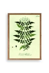 Yapraklar Ahşap Çerçeveli Tablo 23 x 30