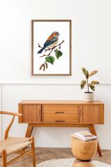 Kuş Ahşap Çerçeveli Tablo 17 x 23