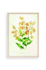 Çiçek Ahşap Çerçeveli Tablo 17 x 23