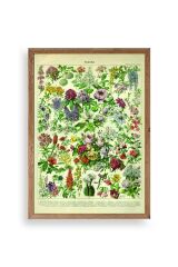 Çiçekler Ahşap Çerçeveli Tablo 30 x 42