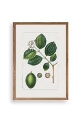 Rosalind Wheeler Ahşap Çerçeveli Tablo 30 x 42