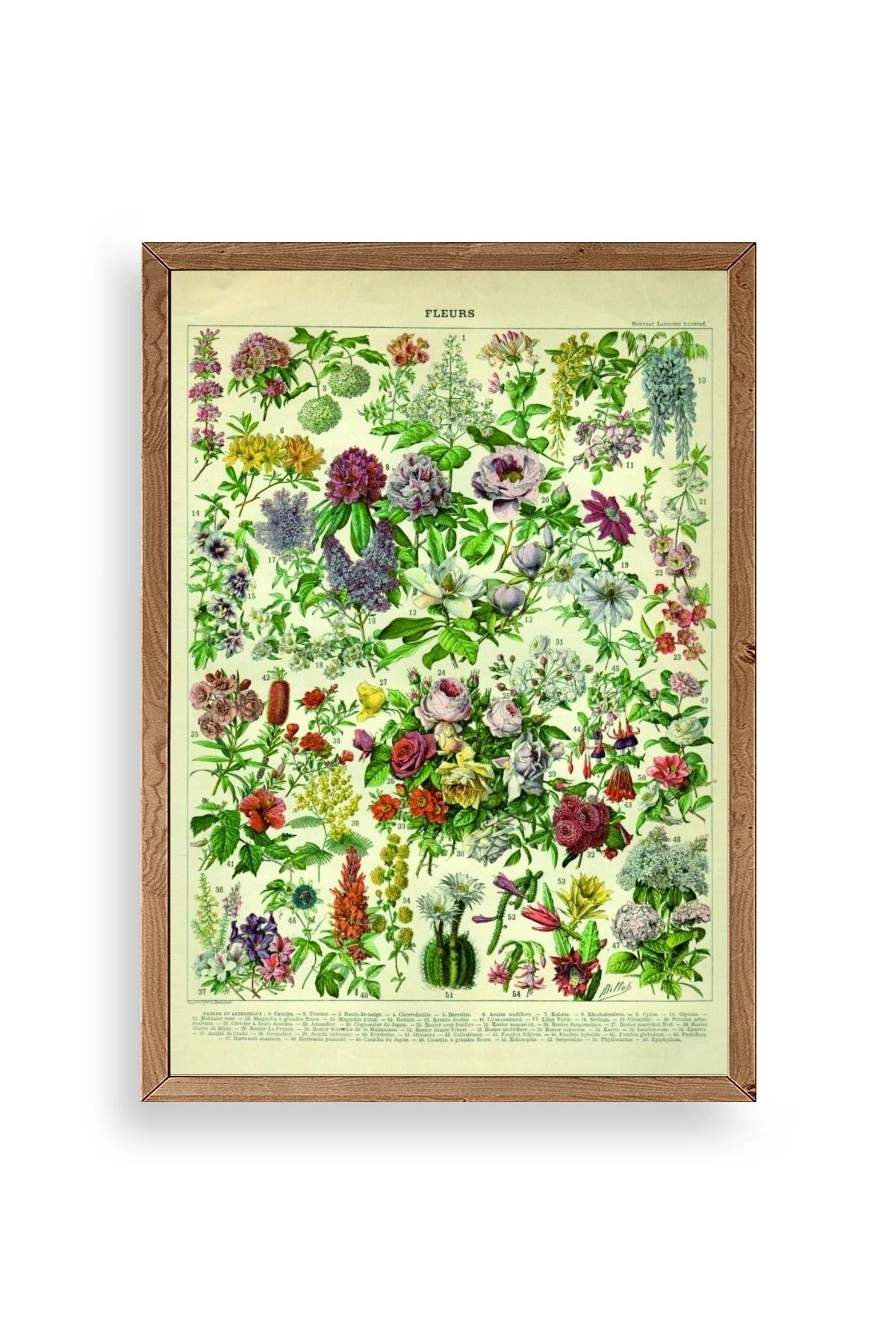 Çiçekler Ahşap Çerçeveli Tablo 17 x 23