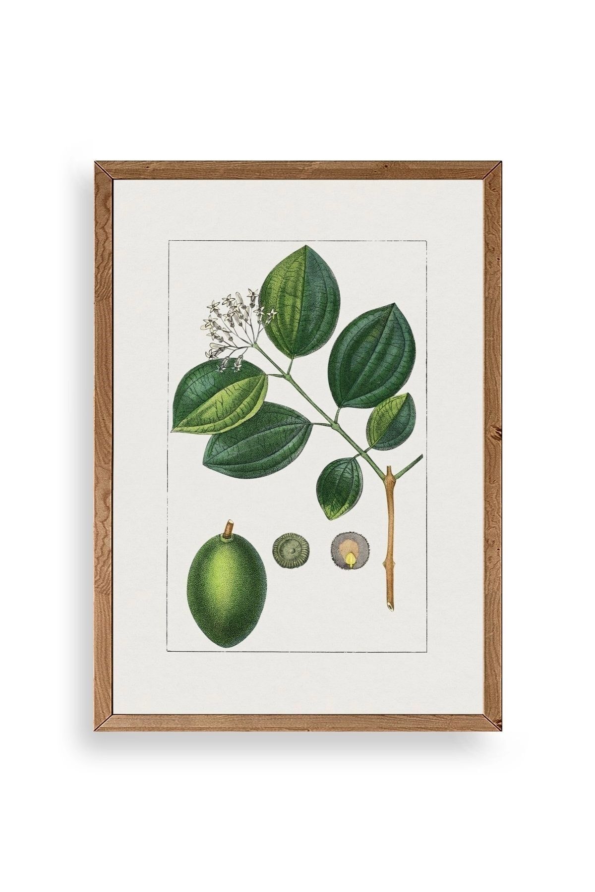 Rosalind Wheeler Ahşap Çerçeveli Tablo 50 x 70