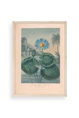 Joseph Constantine Ahşap Çerçeveli Tablo 50 x 70