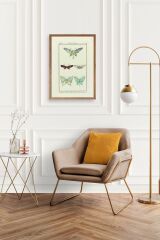 Kelebek Ahşap Çerçeveli Tablo 30 x 42