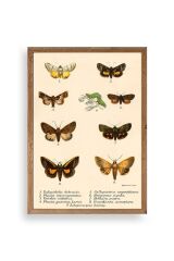 Kelebekler Ahşap Çerçeveli Tablo 17 x 23