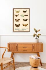 Kelebekler Ahşap Çerçeveli Tablo 23 x 30