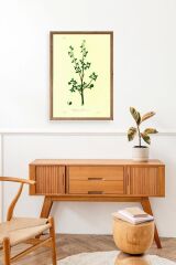 Yapraklar Ahşap Çerçeveli Tablo 17 x 23