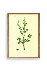 Yapraklar Ahşap Çerçeveli Tablo 23 x 30