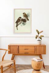 Kuş Ahşap Çerçeveli Tablo 50 x 70